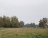 Dzialka Sprzedaż